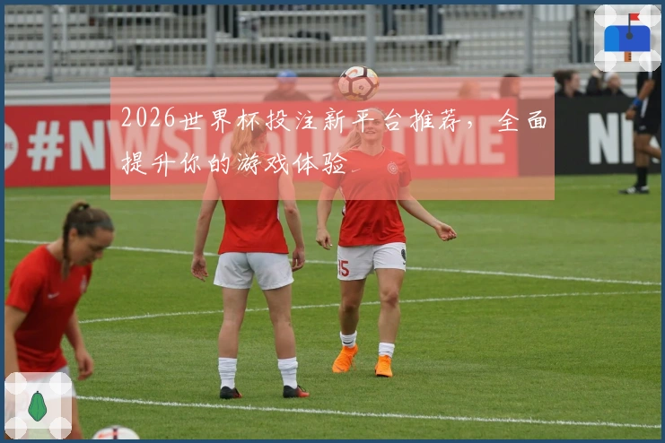 2026世界杯投注新平台推荐，全面提升你的游戏体验