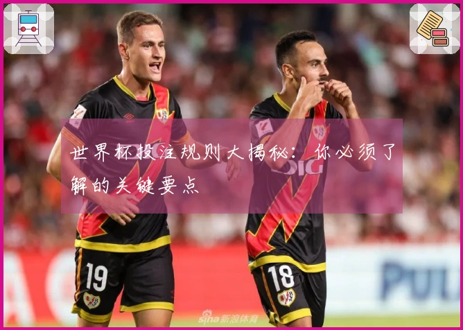 世界杯投注规则大揭秘：你必须了解的关键要点