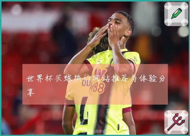 世界杯买球热门网站推荐与体验分享