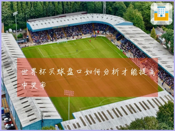 世界杯买球盘口如何分析才能提高中奖率