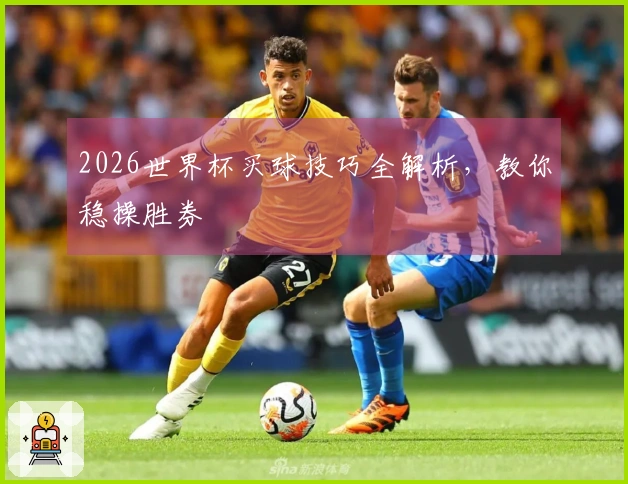 2026世界杯买球技巧全解析，教你稳操胜券