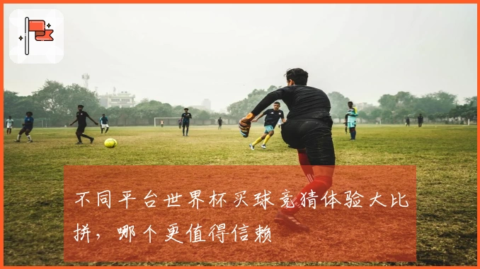 不同平台世界杯买球竞猜体验大比拼,哪个更值得信赖