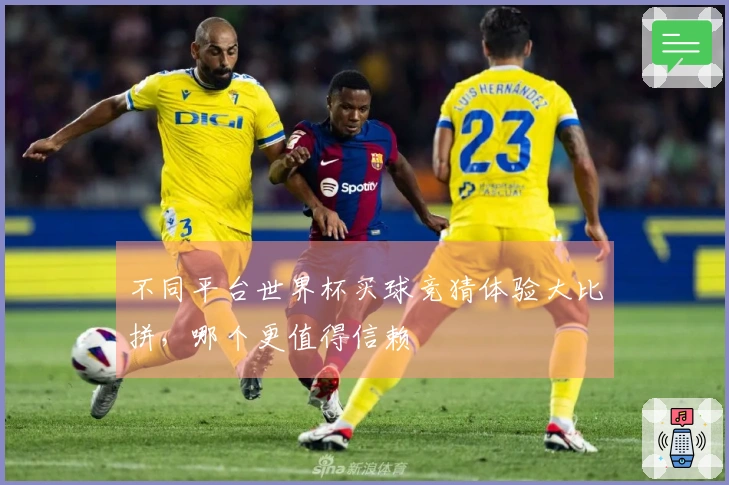 不同平台世界杯买球竞猜体验大比拼，哪个更值得信赖