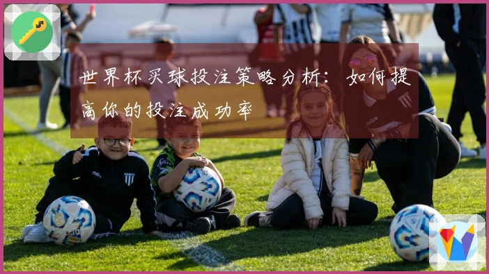 世界杯买球投注策略分析：如何提高你的投注成功率
