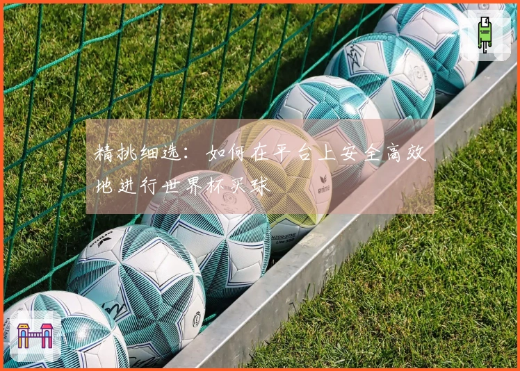 精挑细选：如何在平台上安全高效地进行世界杯买球