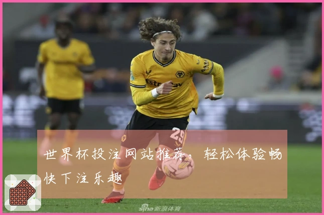 世界杯投注网站推荐，轻松体验畅快下注乐趣