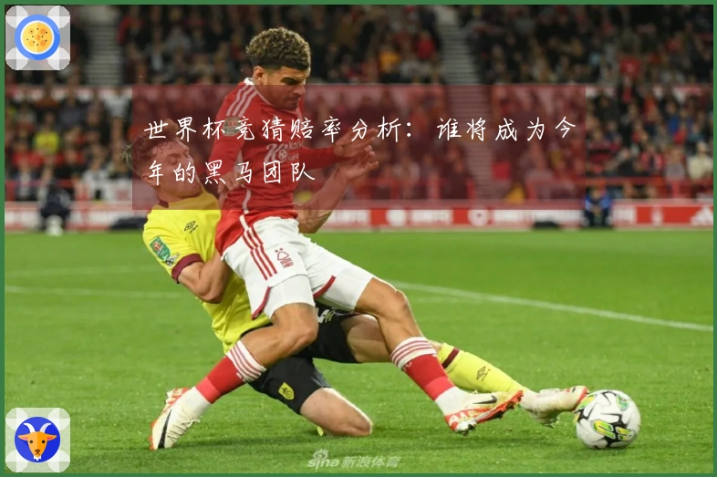 世界杯竞猜赔率分析：谁将成为今年的黑马团队